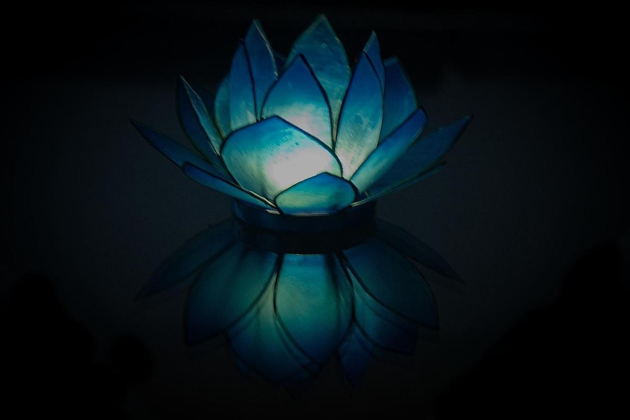 Blue Lotus Apartment Vienna Esterno foto